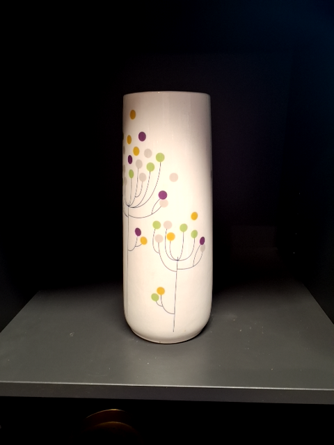 Vase house doctor